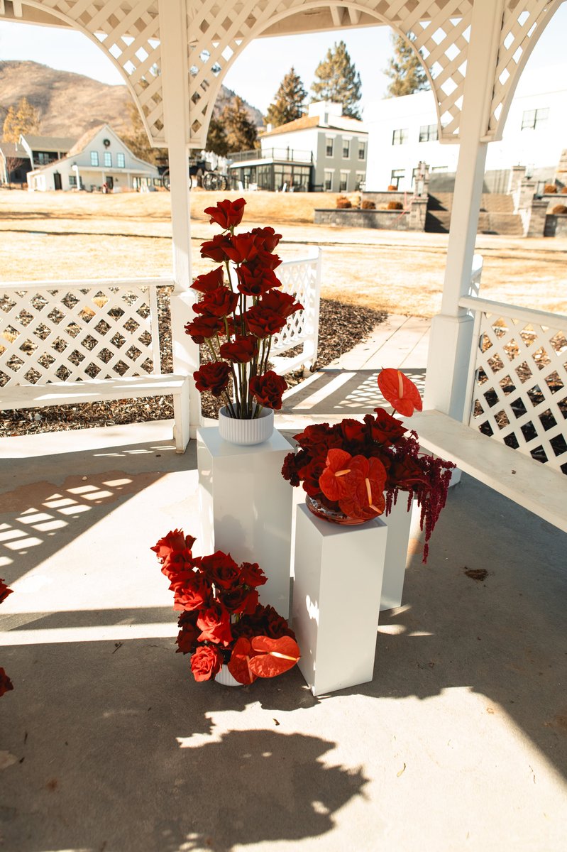 Anna + Austin proposal florals