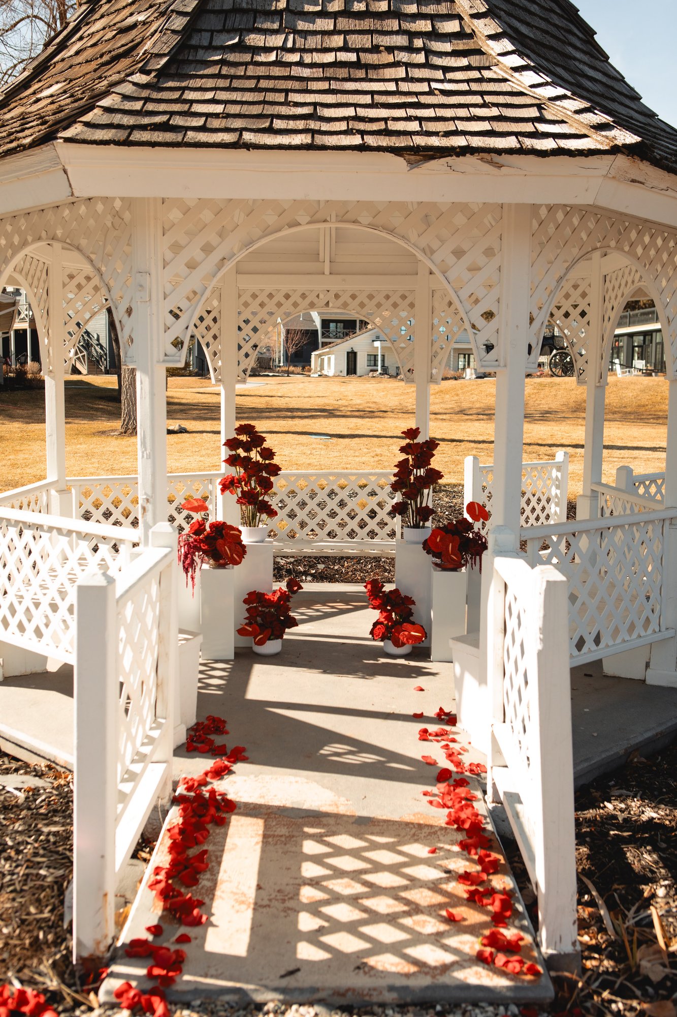 Anna + Austin proposal florals